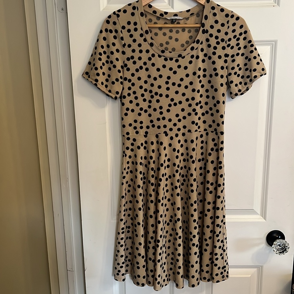 Flared Polka Dot Dress